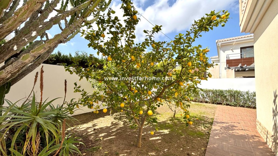 Verkoop - Villa - Orihuela Costa - Costa Blanca