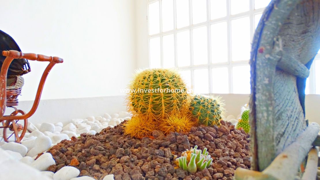 Verkoop - Villa - Orihuela Costa - Costa Blanca