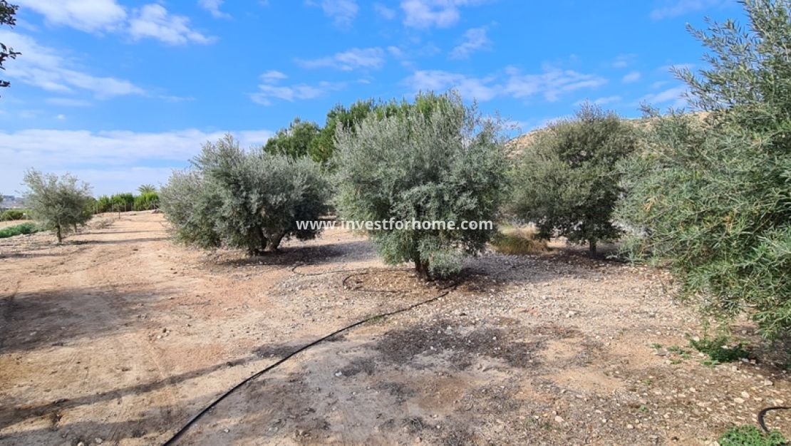 Verkoop - Villa - Orihuela Costa - Inland