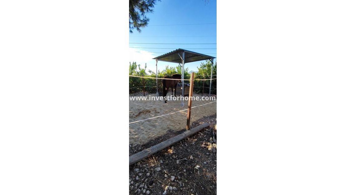 Verkoop - Villa - Orihuela Costa - Inland