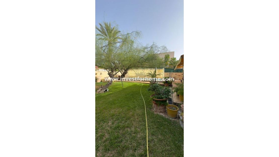 Verkoop - Villa - Orihuela Costa - Punta Prima