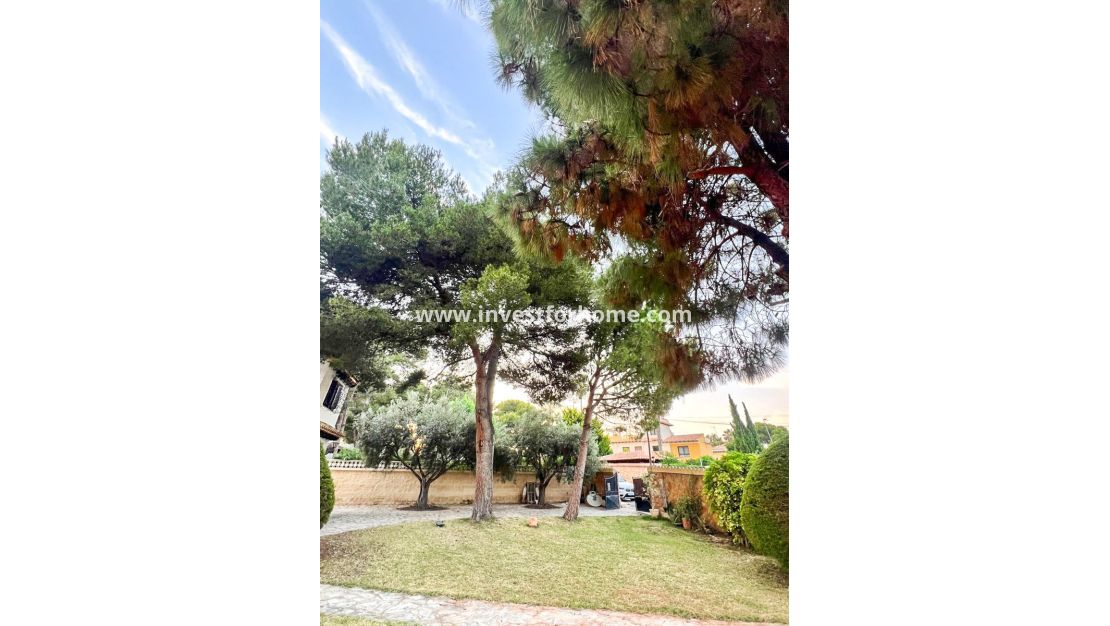 Verkoop - Villa - Orihuela Costa - Punta Prima