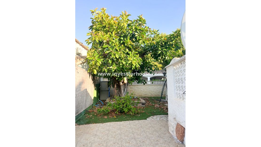 Verkoop - Villa - Orihuela Costa - Punta Prima