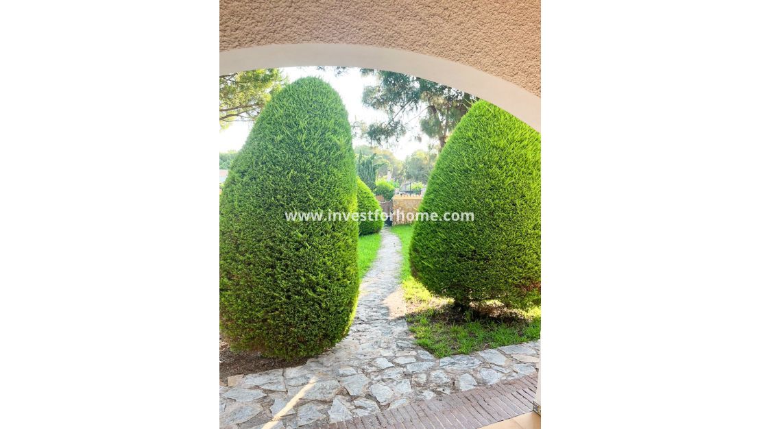 Verkoop - Villa - Orihuela Costa - Punta Prima