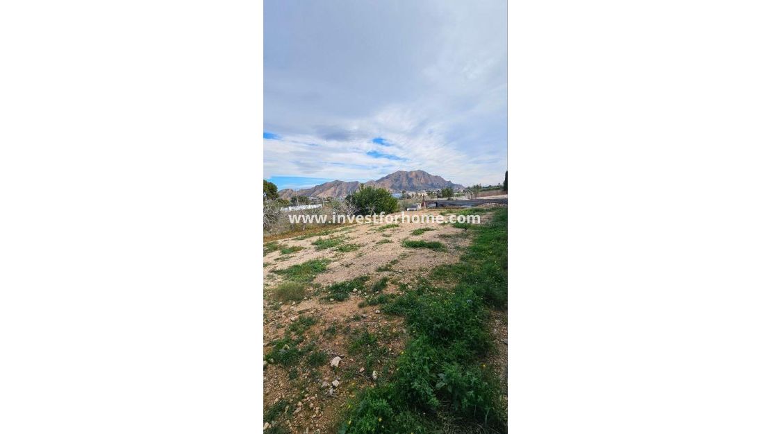 Verkoop - Villa - Orihuela Costa - Urb. Montepinar