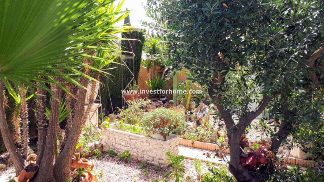 Verkoop - Villa - Rojales - Costa Blanca