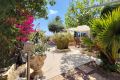 Verkoop - Villa - Rojales - Costa Blanca