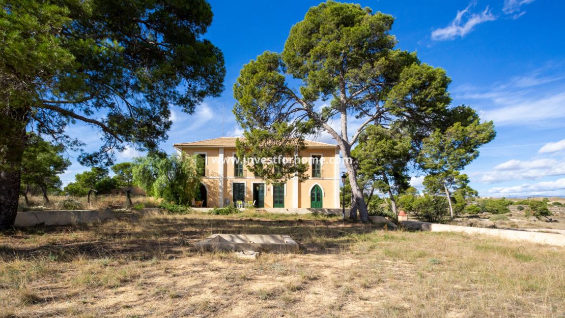 Verkoop - Villa - San Juan De Alicante - Costa Blanca