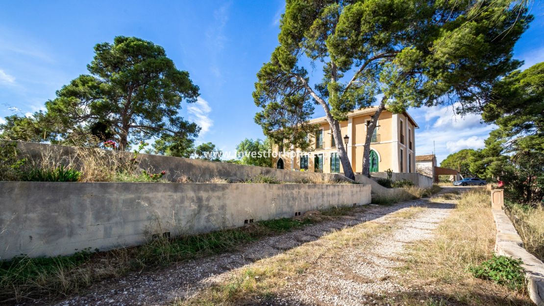Verkoop - Villa - San Juan De Alicante - Costa Blanca