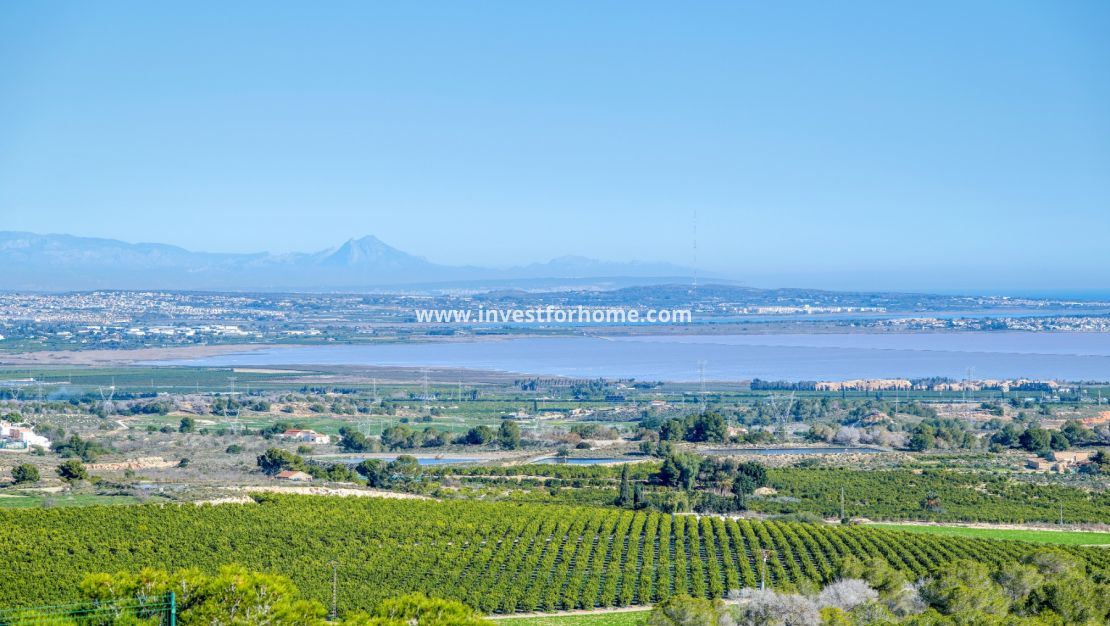 Verkoop - Villa - San Miguel de Salinas - Inland