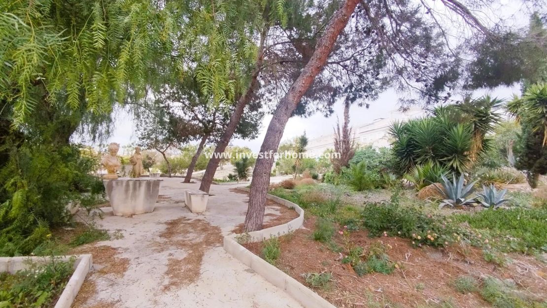 Verkoop - Villa - San Miguel de Salinas - Inland