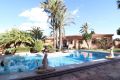 Verkoop - Villa - Torrevieja - Costa Blanca