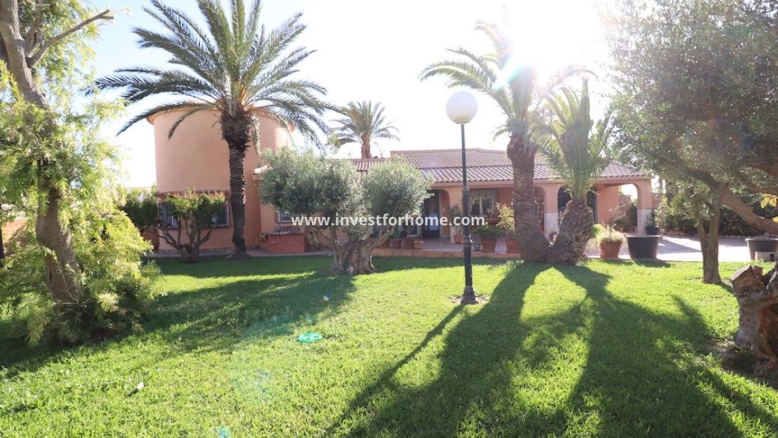 Verkoop - Villa - Torrevieja - Costa Blanca