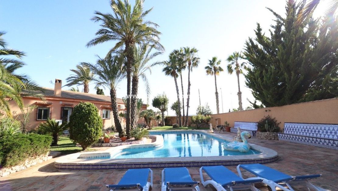 Verkoop - Villa - Torrevieja - Costa Blanca
