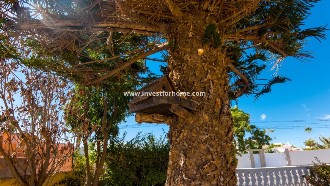 Verkoop - Villa - Torrevieja - Costa Blanca