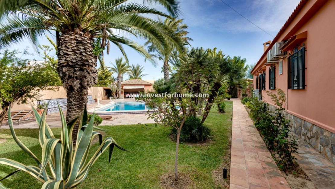 Verkoop - Villa - Torrevieja - La Siesta-El Chaparral