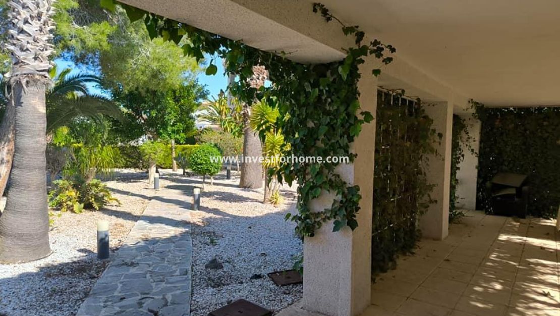 Verkoop - Villa - Torrevieja - La Siesta-El Chaparral