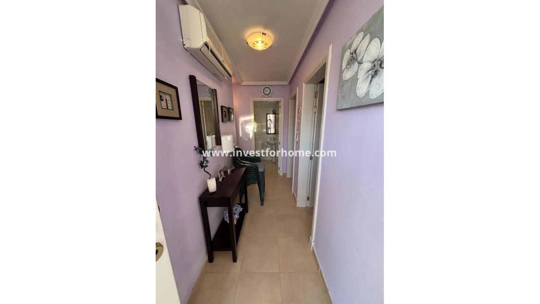 Verkoop - Villa - Torrevieja - La Siesta - El Salado - Torreta