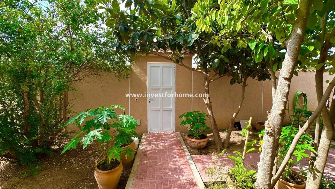 Verkoop - Villa - Torrevieja - Los Balcones - Los Altos Del Edén