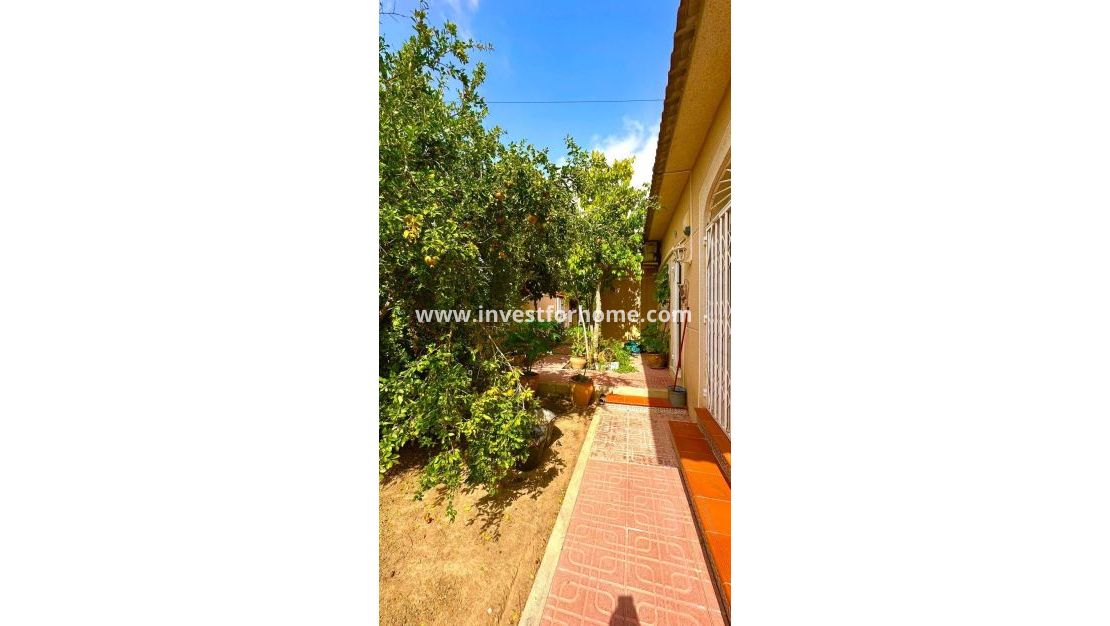 Verkoop - Villa - Torrevieja - Los Balcones - Los Altos Del Edén