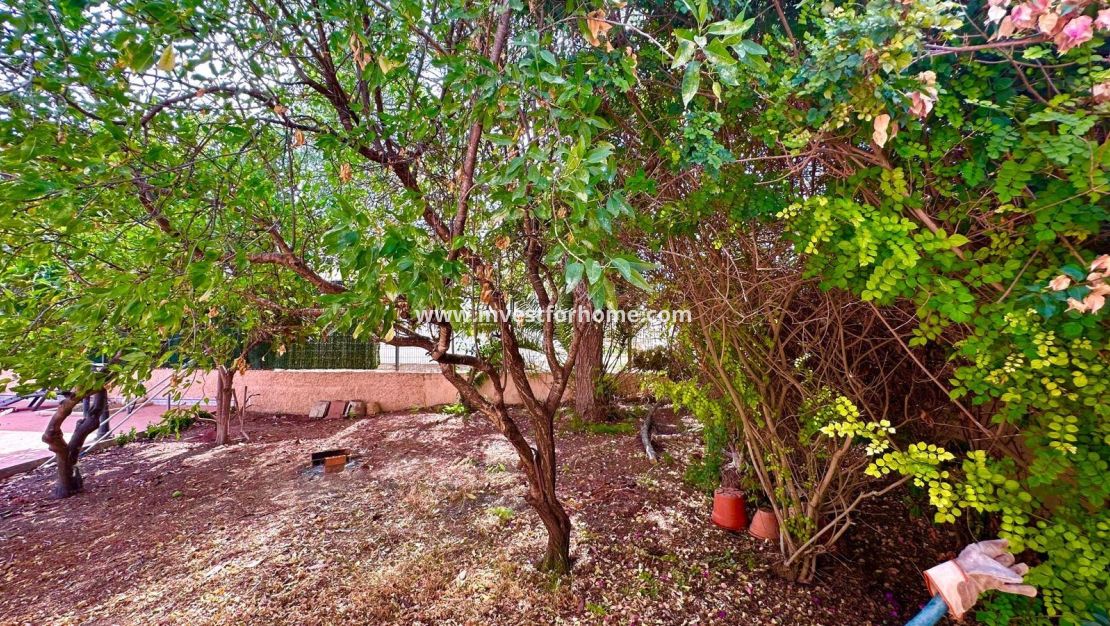 Verkoop - Villa - Torrevieja - Los Balcones - Los Altos Del Edén