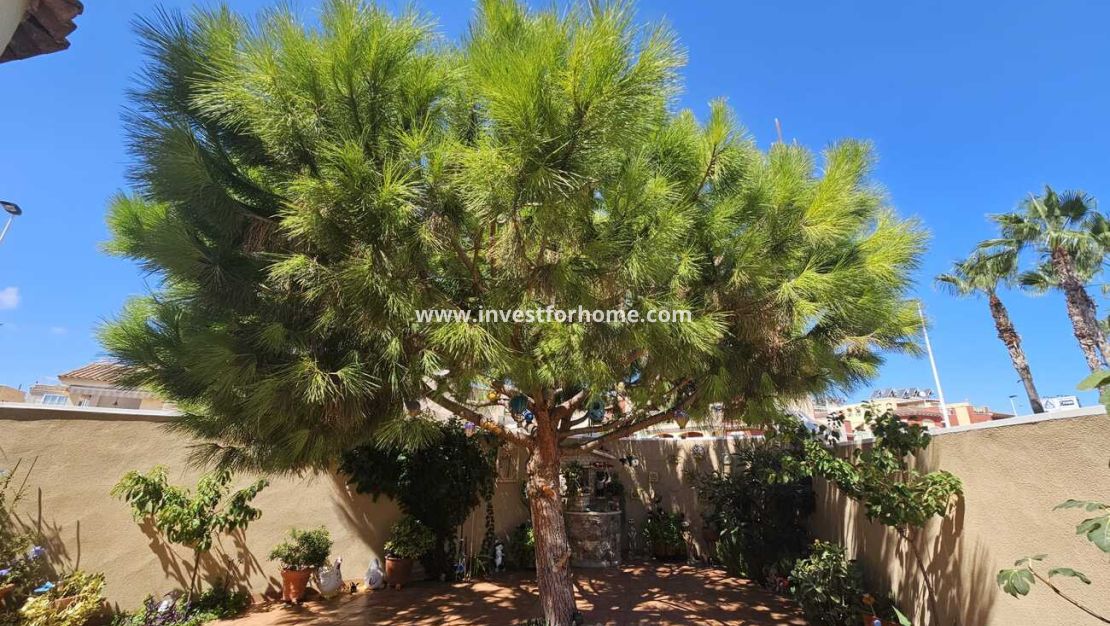 Verkoop - Villa - Torrevieja - Torre Del Moro