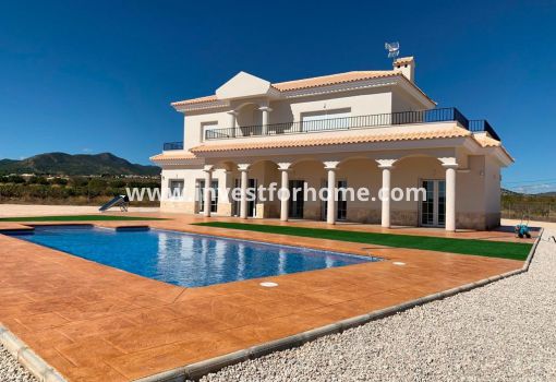 Villa - Nieuwbouw - Pinoso - Camino Del Prado