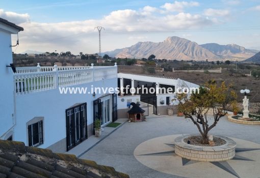 Villa - Sale - Hondon de los Frailes - Inland