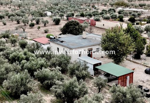 Villa - Vente - Salinas - ND-65450